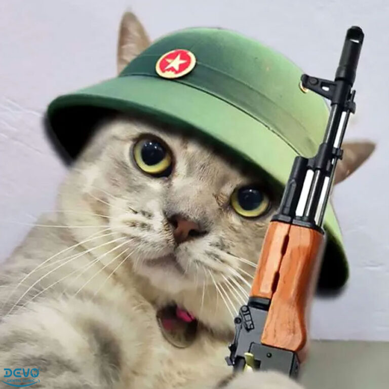 1001+ Meme hình ảnh mèo cười, khóc, sốc, cười hài hước, vui vẻ